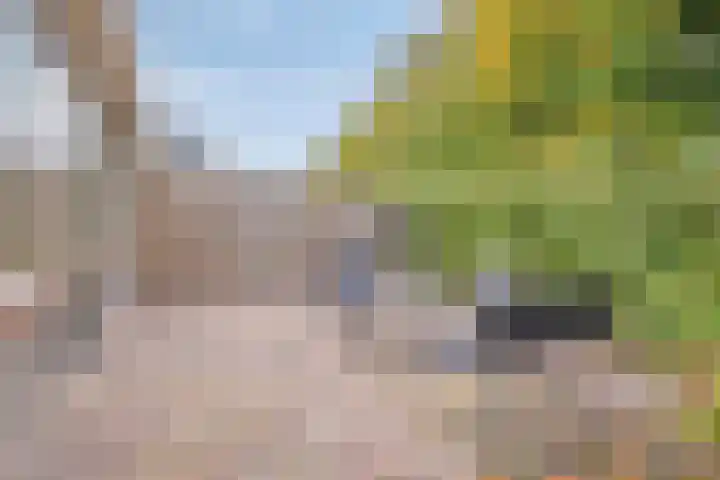 C. Liefhebberstraat 2 Kolhorn thumbnail 33