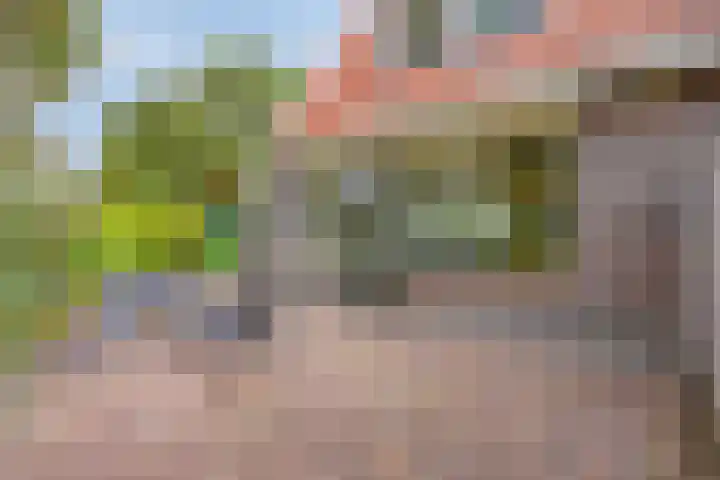 C. Liefhebberstraat 2 Kolhorn thumbnail 34