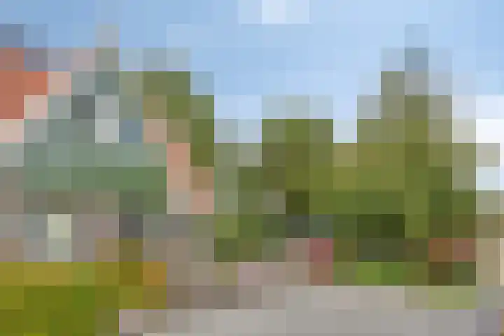 C. Liefhebberstraat 2 Kolhorn thumbnail 5
