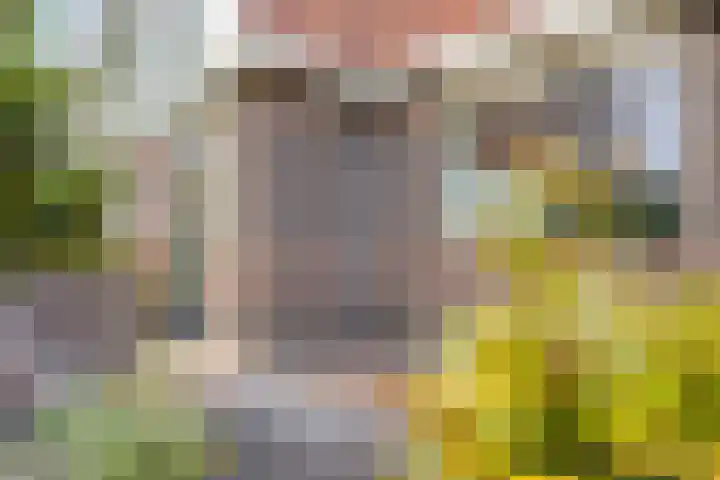 C. Liefhebberstraat 2 Kolhorn thumbnail 6