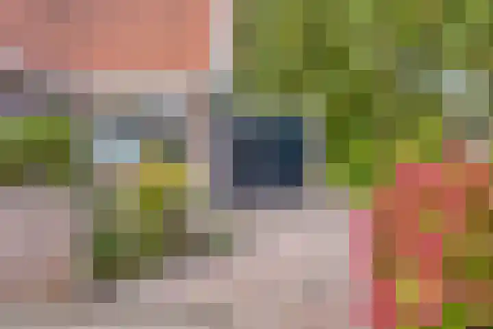 C. Liefhebberstraat 2 Kolhorn thumbnail 7