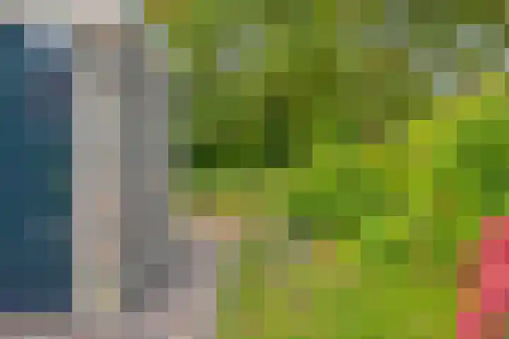 C. Liefhebberstraat 2 Kolhorn thumbnail 8