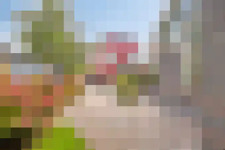 C. Liefhebberstraat 2 Kolhorn thumbnail 9