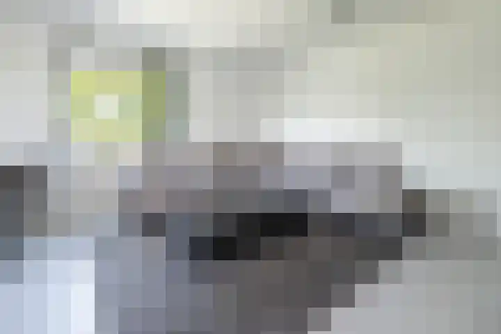 C. Lofstraat 46 Barneveld thumbnail 7