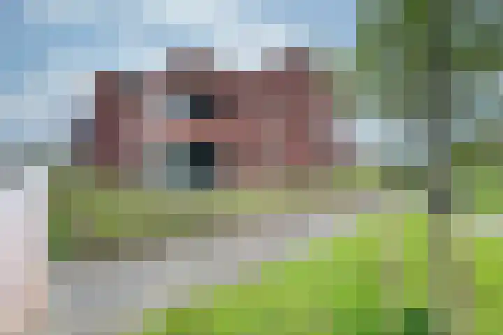 C. Lofstraat 48 Barneveld thumbnail 37