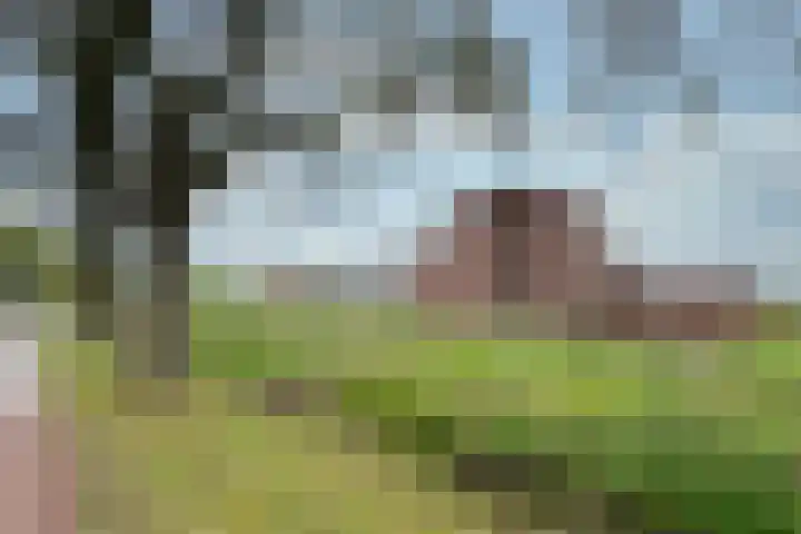C. Lofstraat 48 Barneveld thumbnail 40