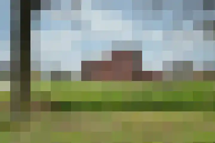 C. Lofstraat 48 Barneveld thumbnail 41