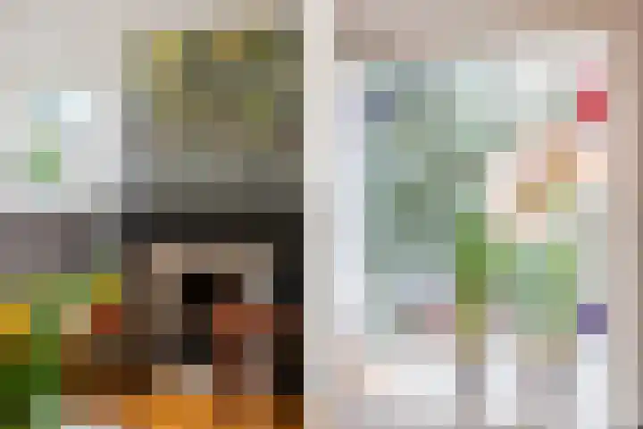 C.M. van Reesstraat 10 Sliedrecht thumbnail 10