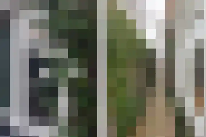 C.M. van Reesstraat 10 Sliedrecht thumbnail 20