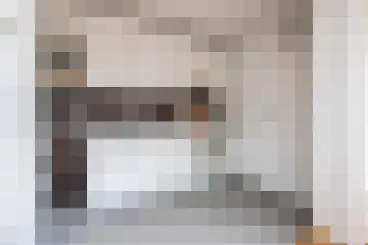 C.M. van Reesstraat 10 Sliedrecht thumbnail 22