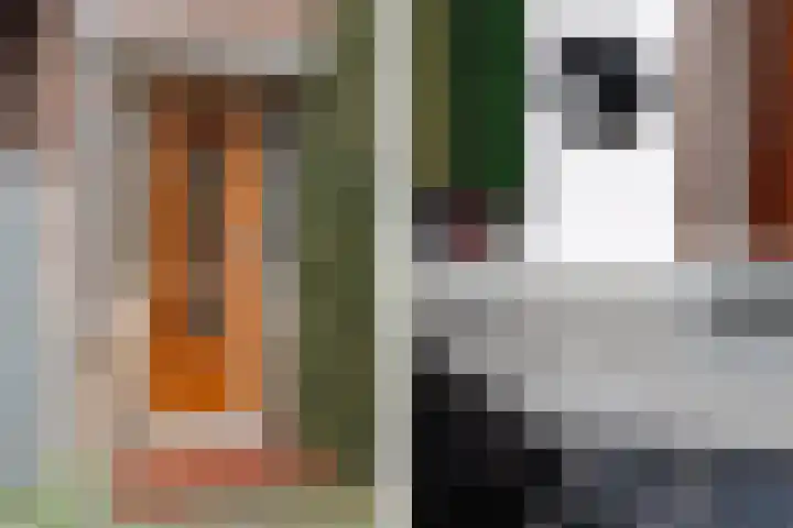 C.M. van Reesstraat 10 Sliedrecht thumbnail 5