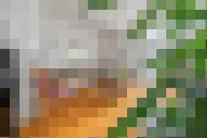 C.M. van Reesstraat 10 Sliedrecht thumbnail 6