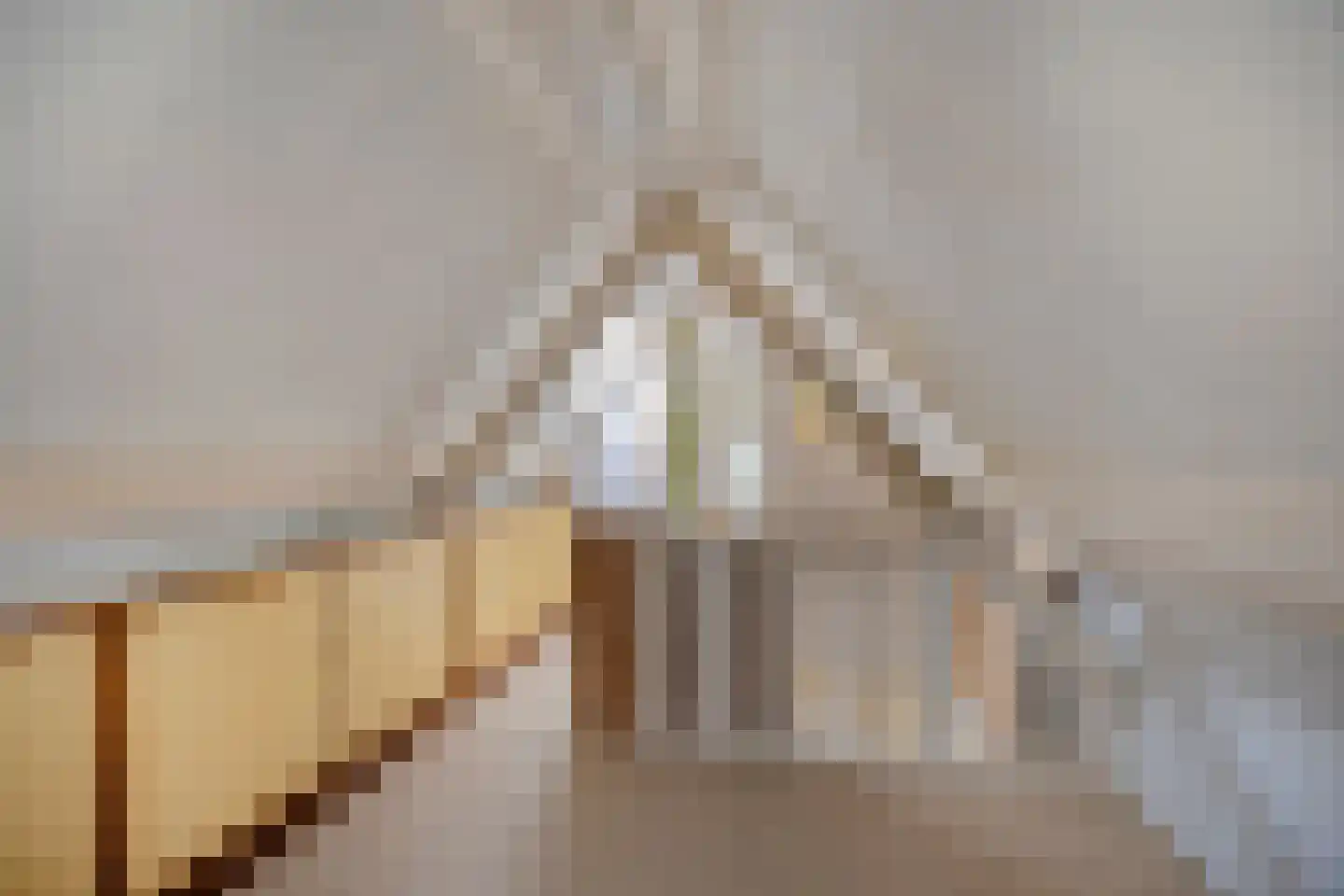 C.M. van Reesstraat 2 Sliedrecht thumbnail 23