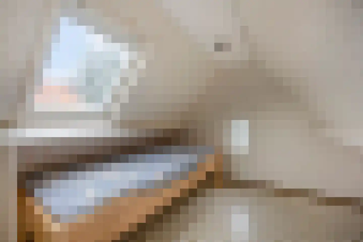 C.M. van Reesstraat 2 Sliedrecht thumbnail 24