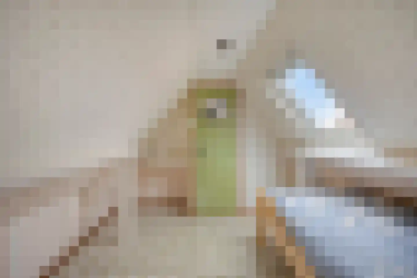 C.M. van Reesstraat 2 Sliedrecht thumbnail 25