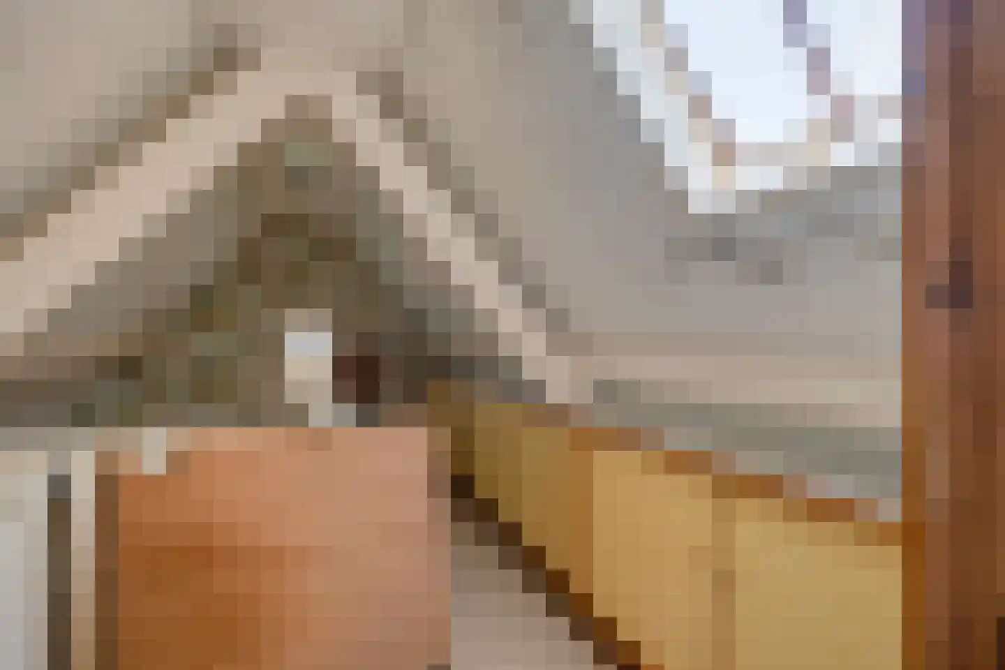 C.M. van Reesstraat 2 Sliedrecht thumbnail 26
