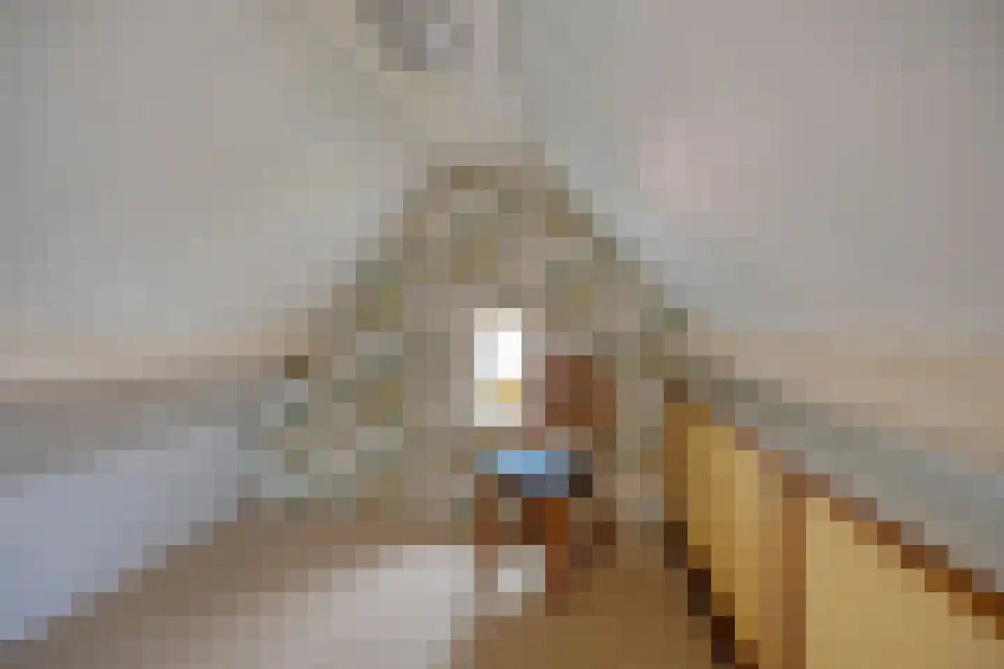 C.M. van Reesstraat 2 Sliedrecht thumbnail 27