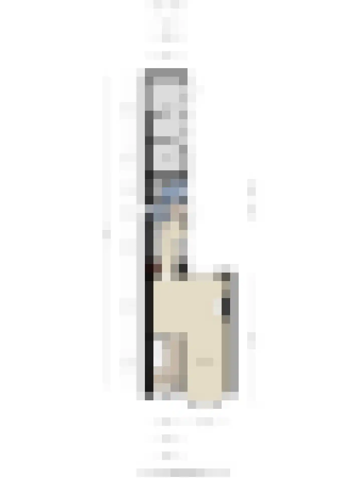 C.M. van Reesstraat 2 Sliedrecht thumbnail 36