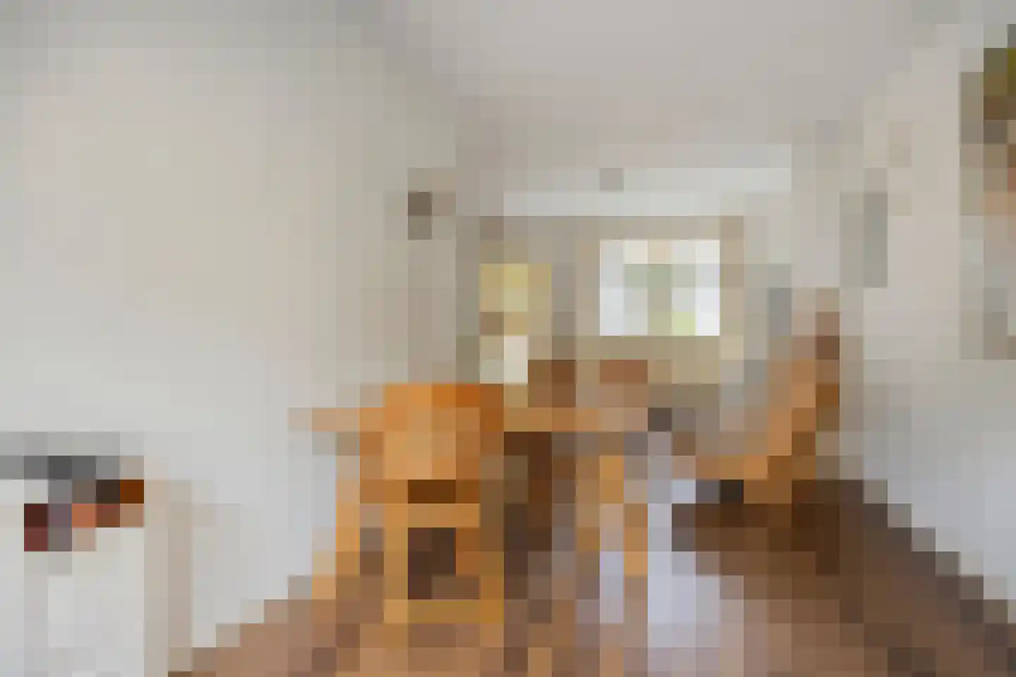 C.M. van Reesstraat 2 Sliedrecht thumbnail 8