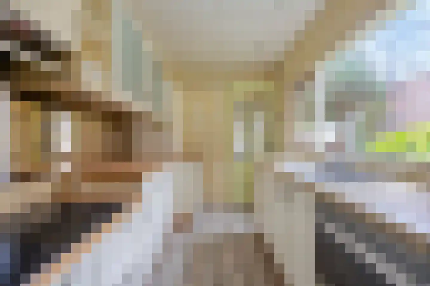 C.M. van Reesstraat 2 Sliedrecht thumbnail 9