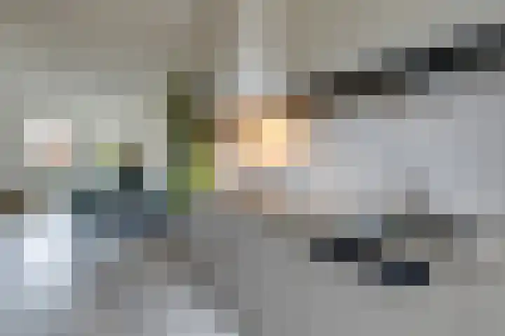C Missetstraat 57 Doetinchem thumbnail 21