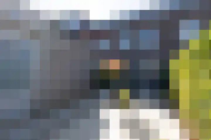 C Missetstraat 57 Doetinchem thumbnail 38