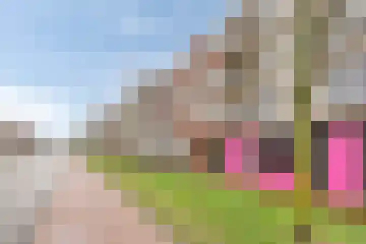 C Missetstraat 67 Doetinchem thumbnail 44