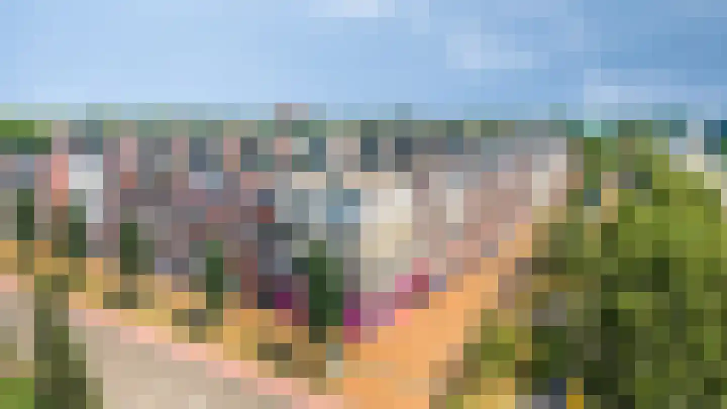 C Missetstraat 69 Doetinchem thumbnail 4