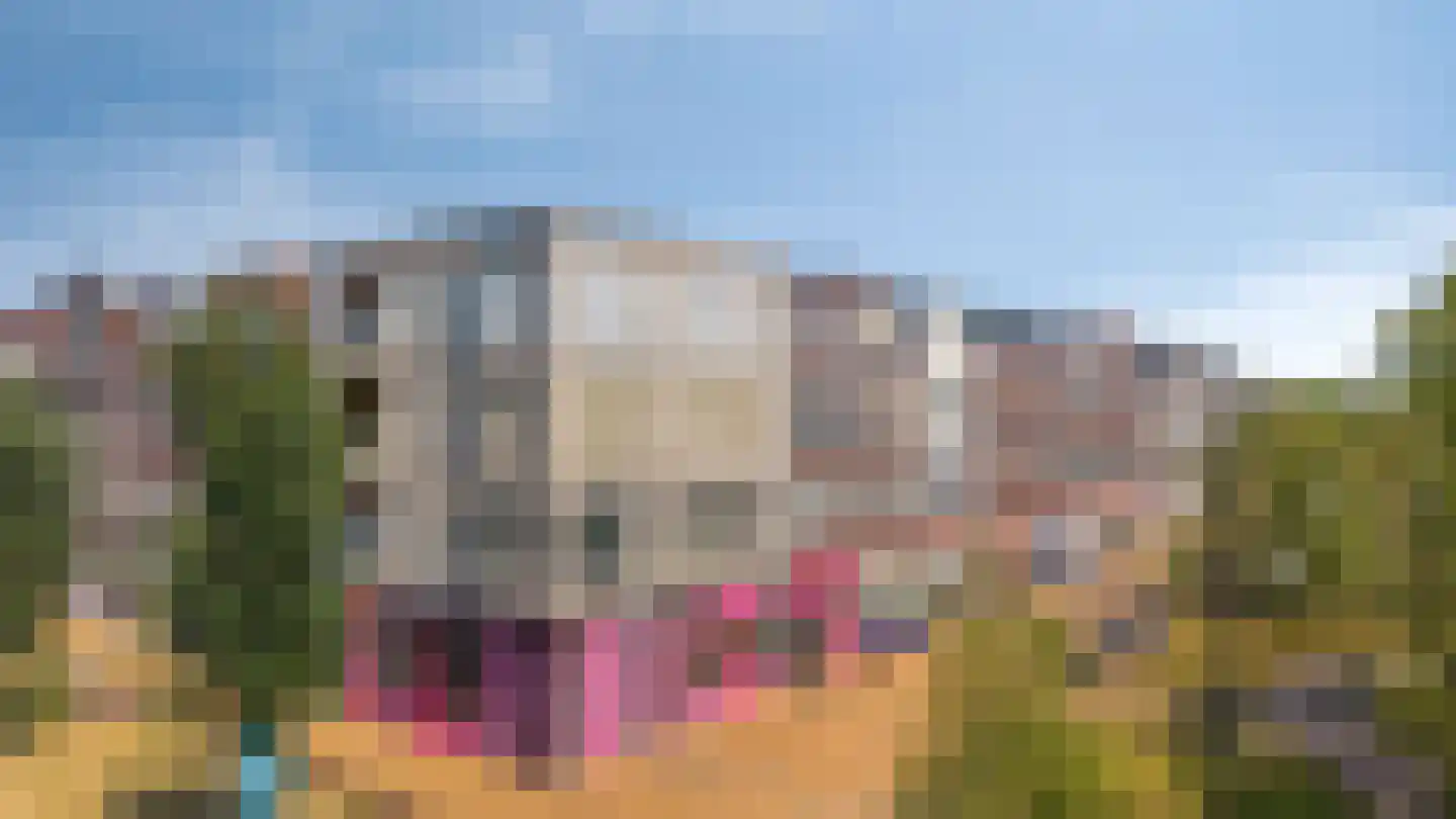 C Missetstraat 69 Doetinchem thumbnail 5