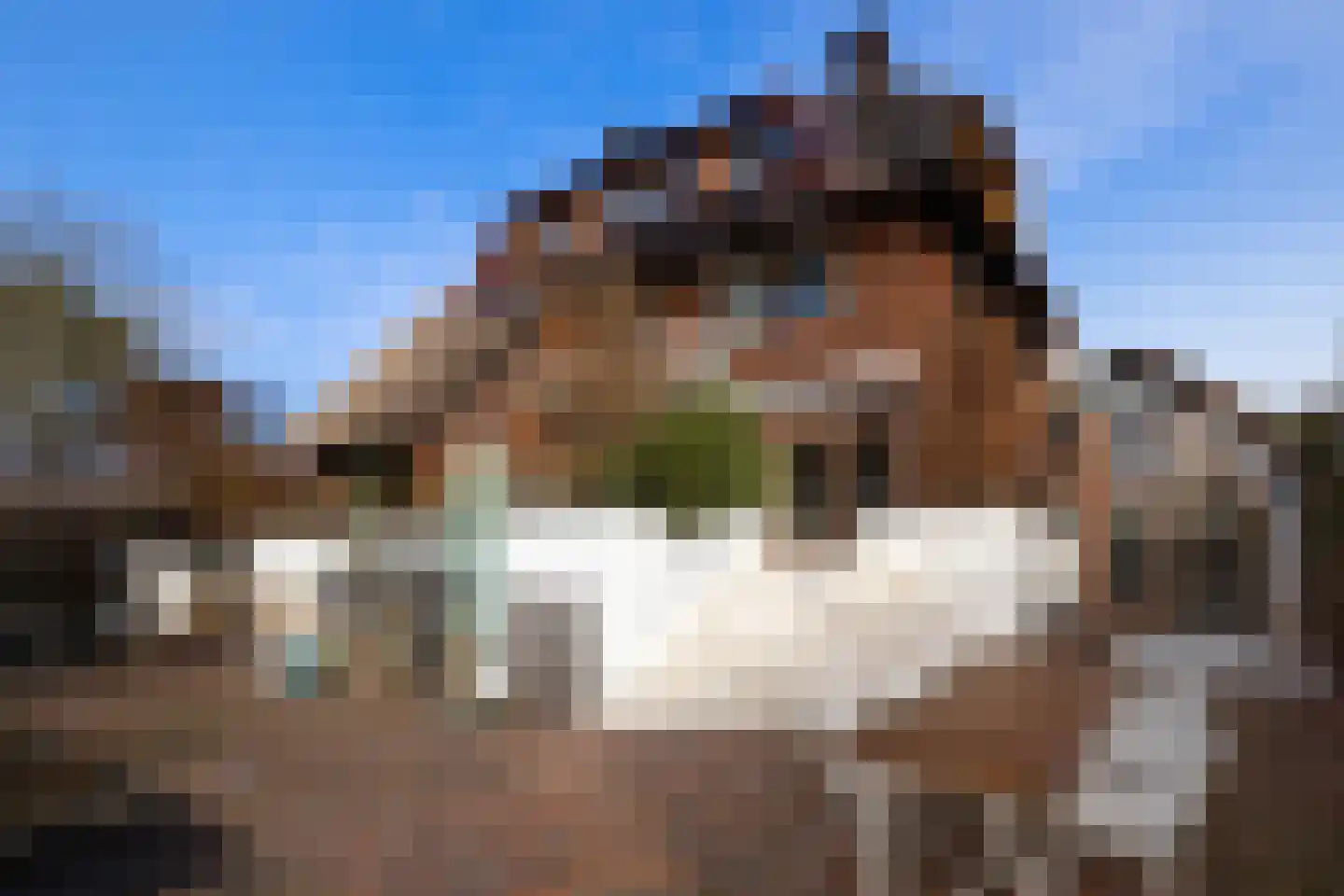 C.N.A.Looslaan 17 Rotterdam thumbnail 4
