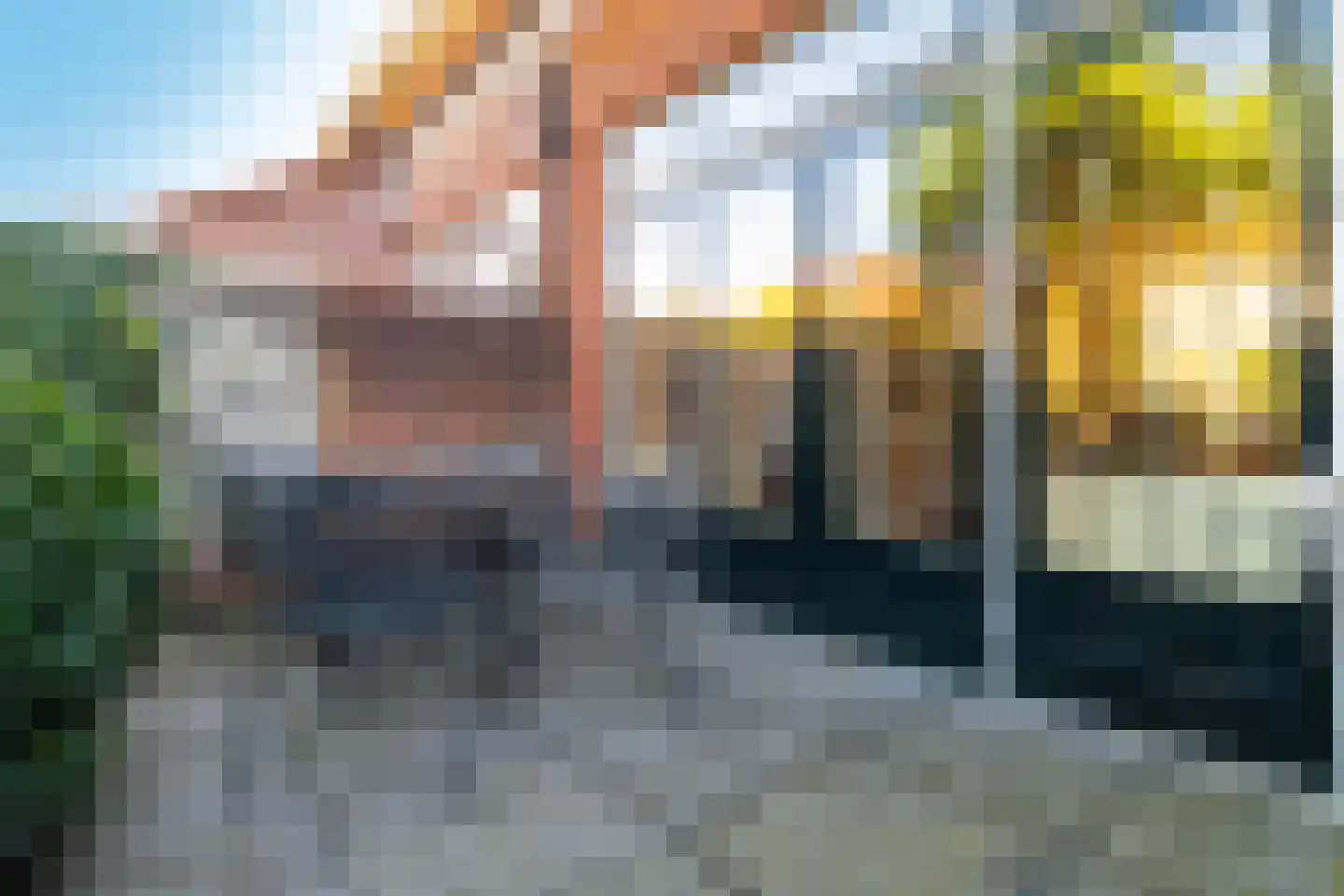 C.N.A.Looslaan 30 Rotterdam thumbnail 17