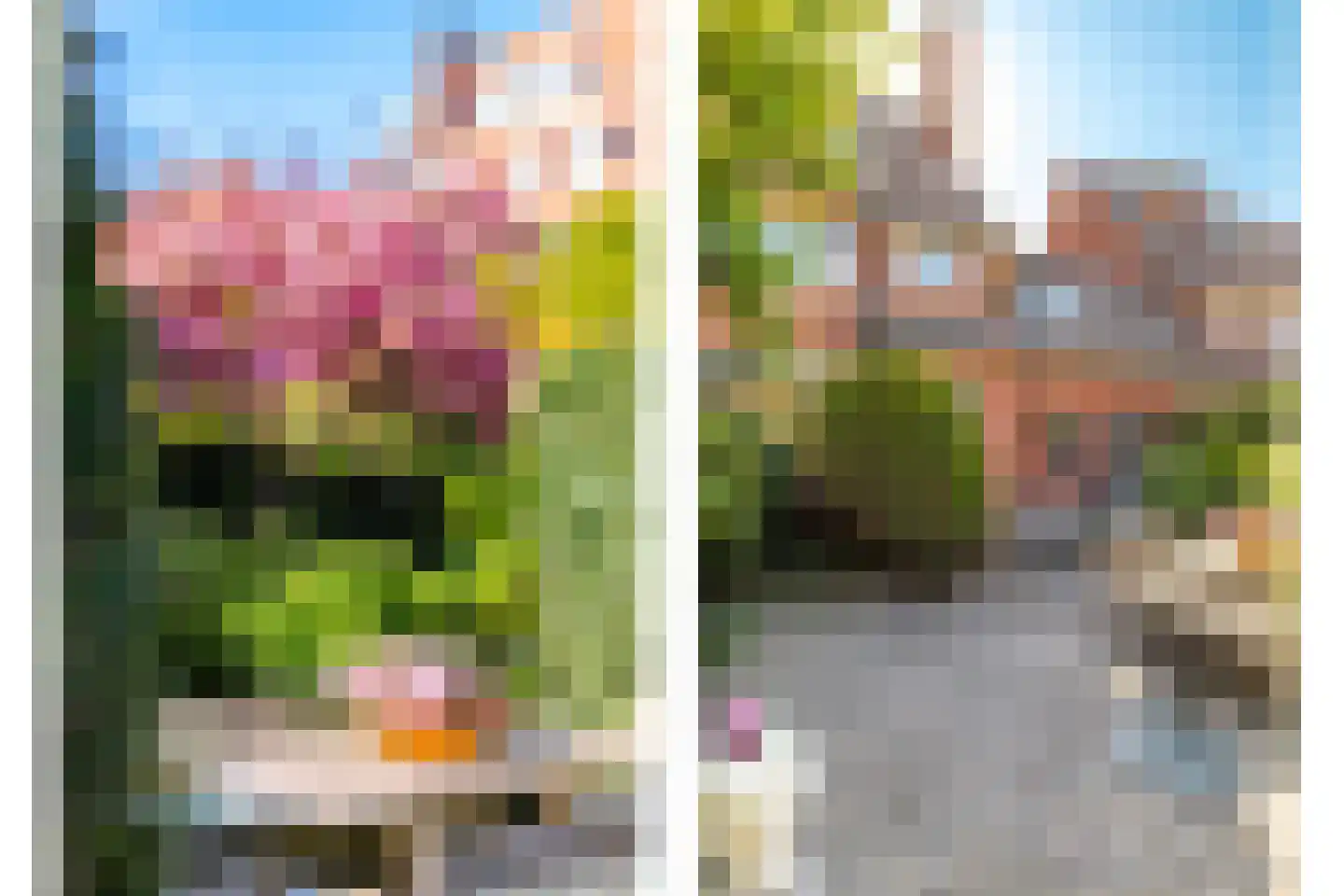 C.N.A.Looslaan 30 Rotterdam thumbnail 21