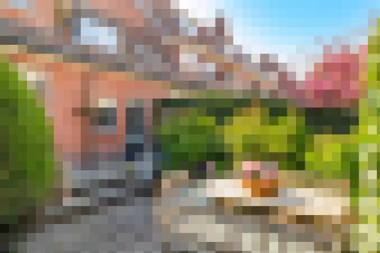 C.N.A.Looslaan 30 Rotterdam thumbnail 22