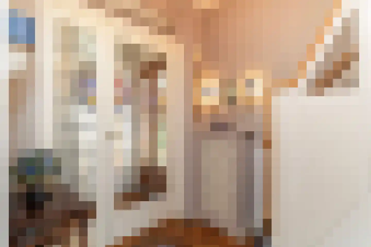 C.N.A.Looslaan 30 Rotterdam thumbnail 5