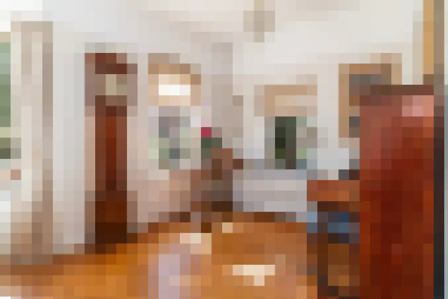C.N.A.Looslaan 30 Rotterdam thumbnail 8