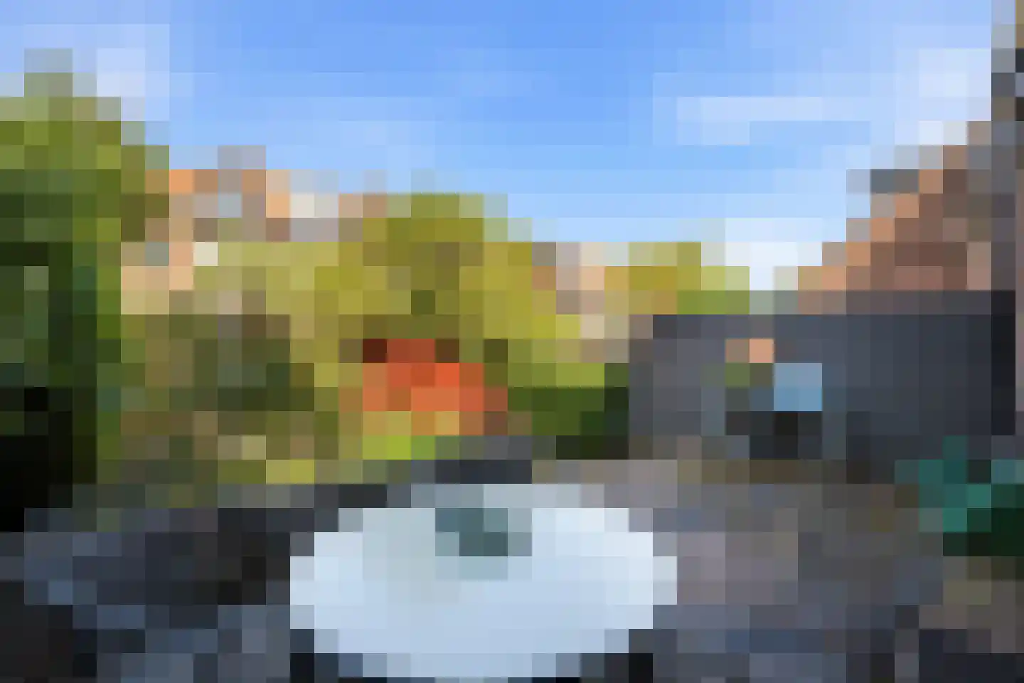 C.N.A.Looslaan 64 Rotterdam thumbnail 16