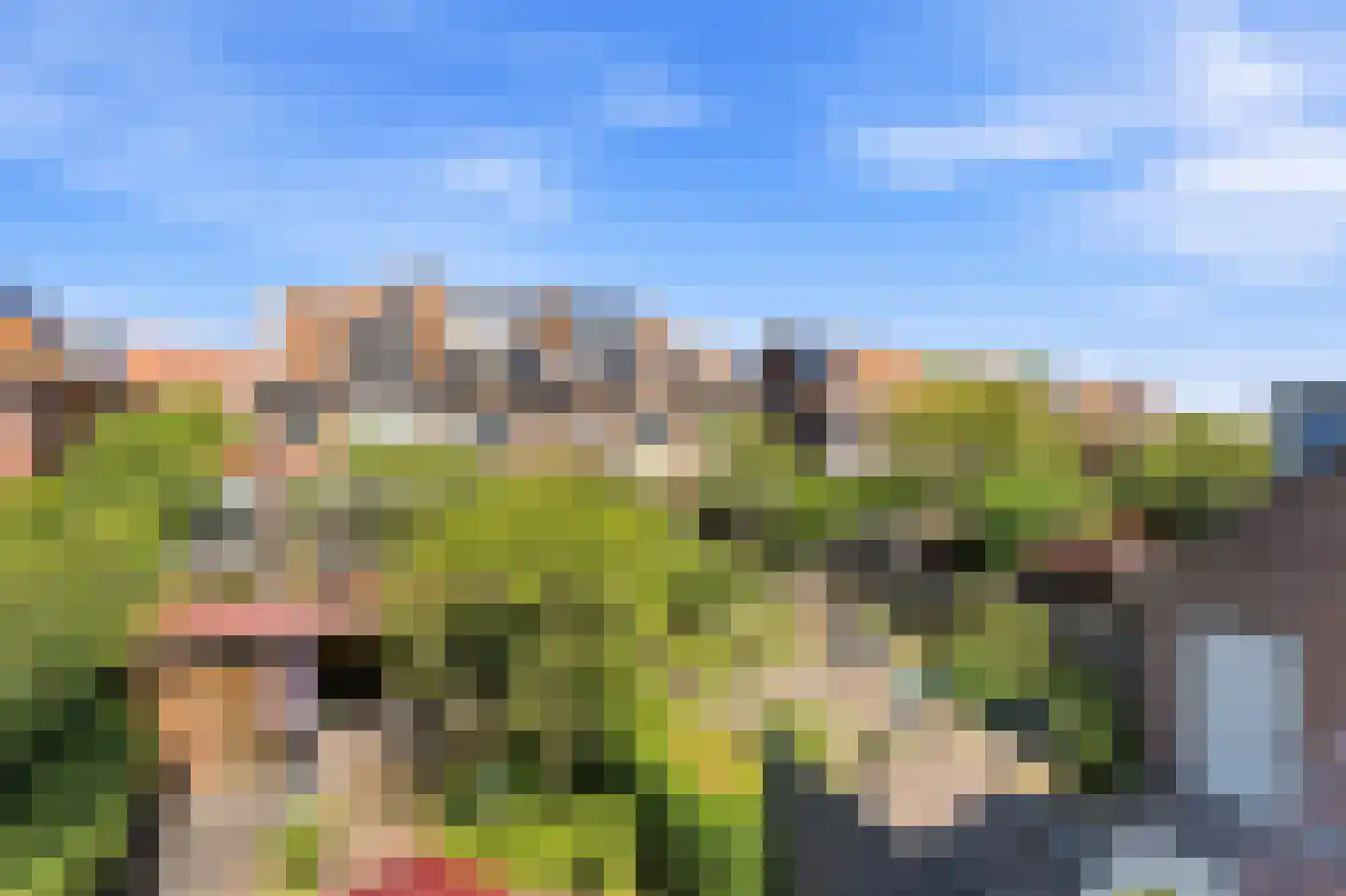 C.N.A.Looslaan 64 Rotterdam thumbnail 20
