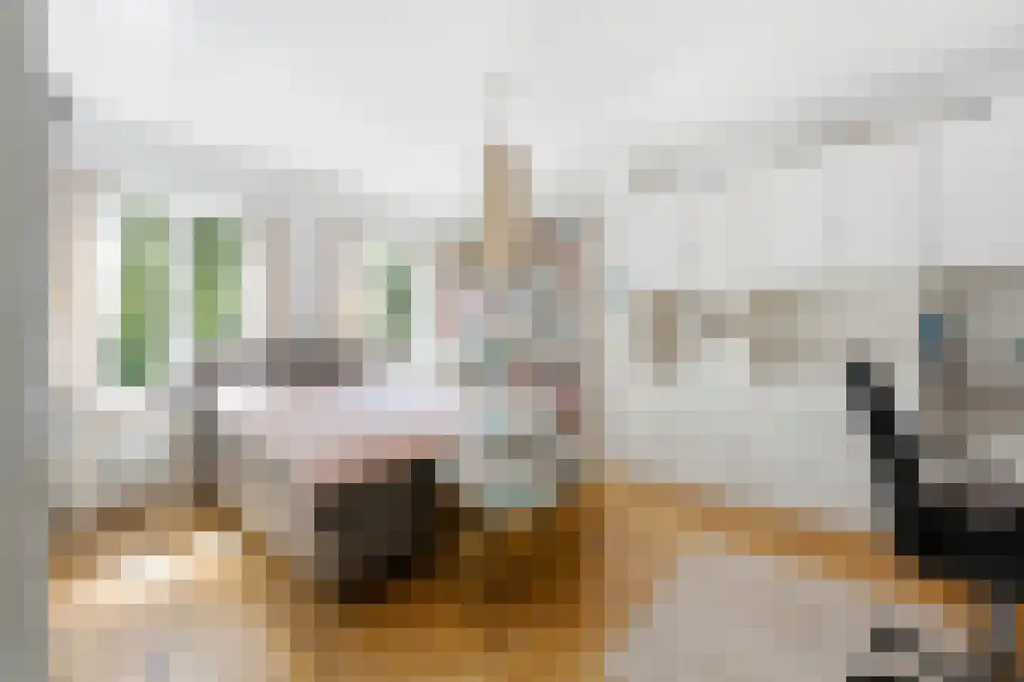 C.N.A.Looslaan 64 Rotterdam thumbnail 21