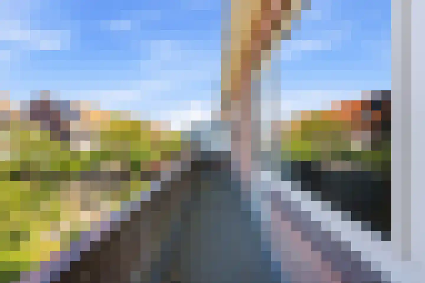 C.N.A.Looslaan 64 Rotterdam thumbnail 29