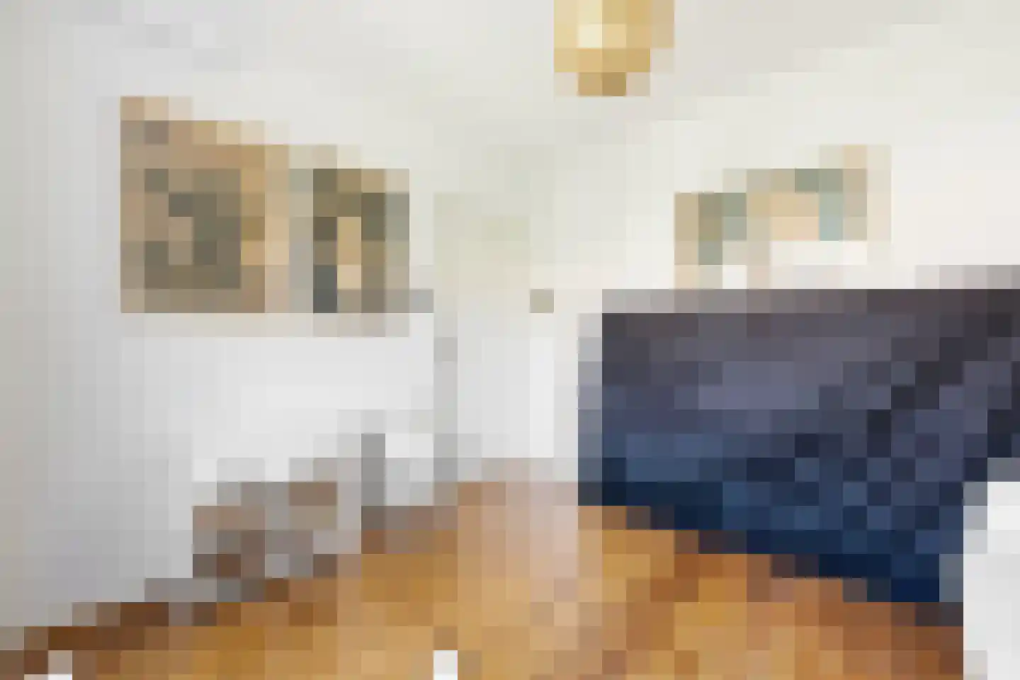 C.N.A.Looslaan 64 Rotterdam thumbnail 33