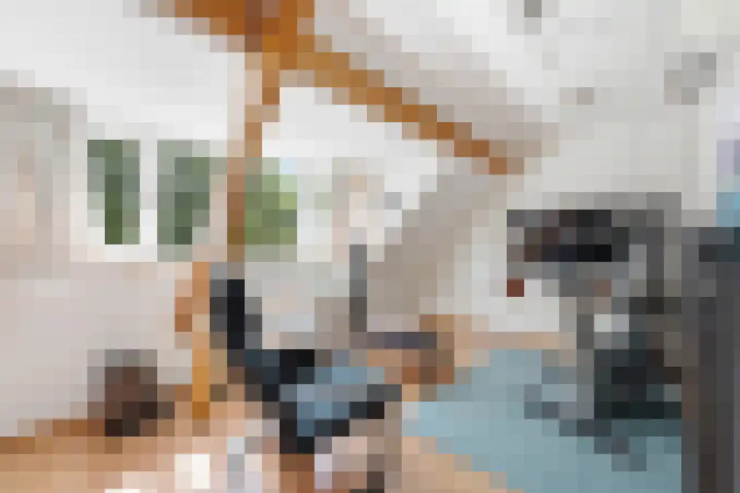 C.N.A.Looslaan 64 Rotterdam thumbnail 40