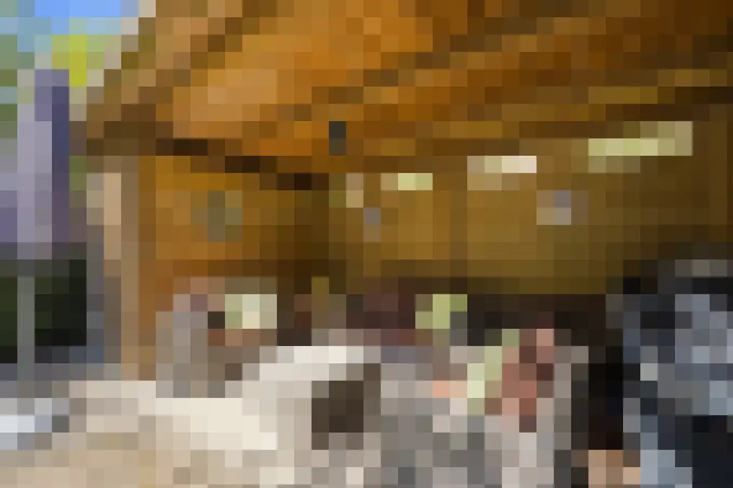 C.N.A.Looslaan 64 Rotterdam thumbnail 5