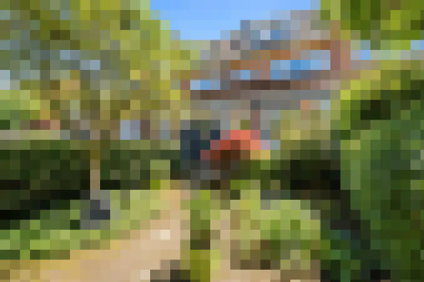 C.N.A.Looslaan 64 Rotterdam thumbnail 51