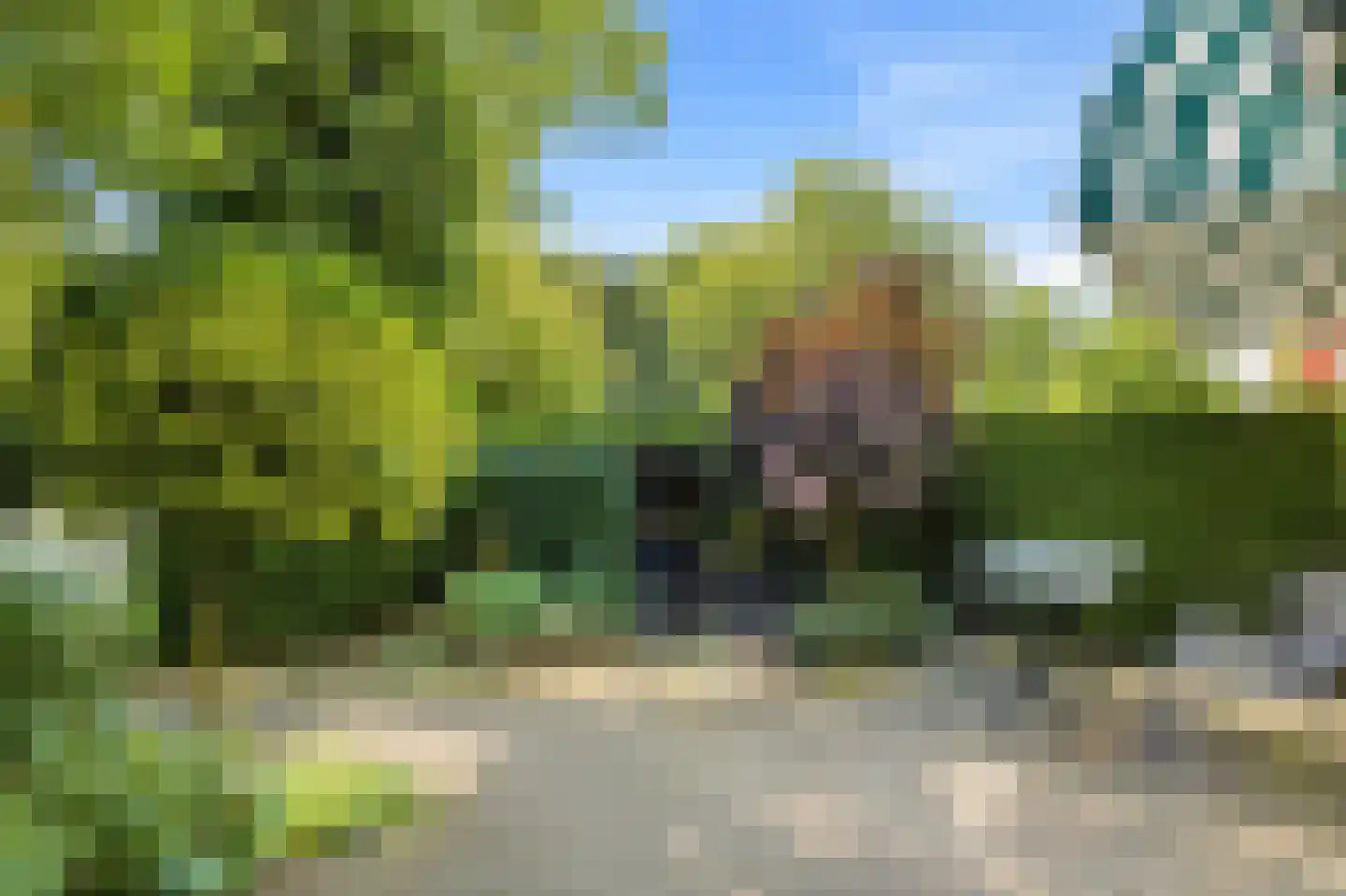 C.N.A.Looslaan 64 Rotterdam thumbnail 6