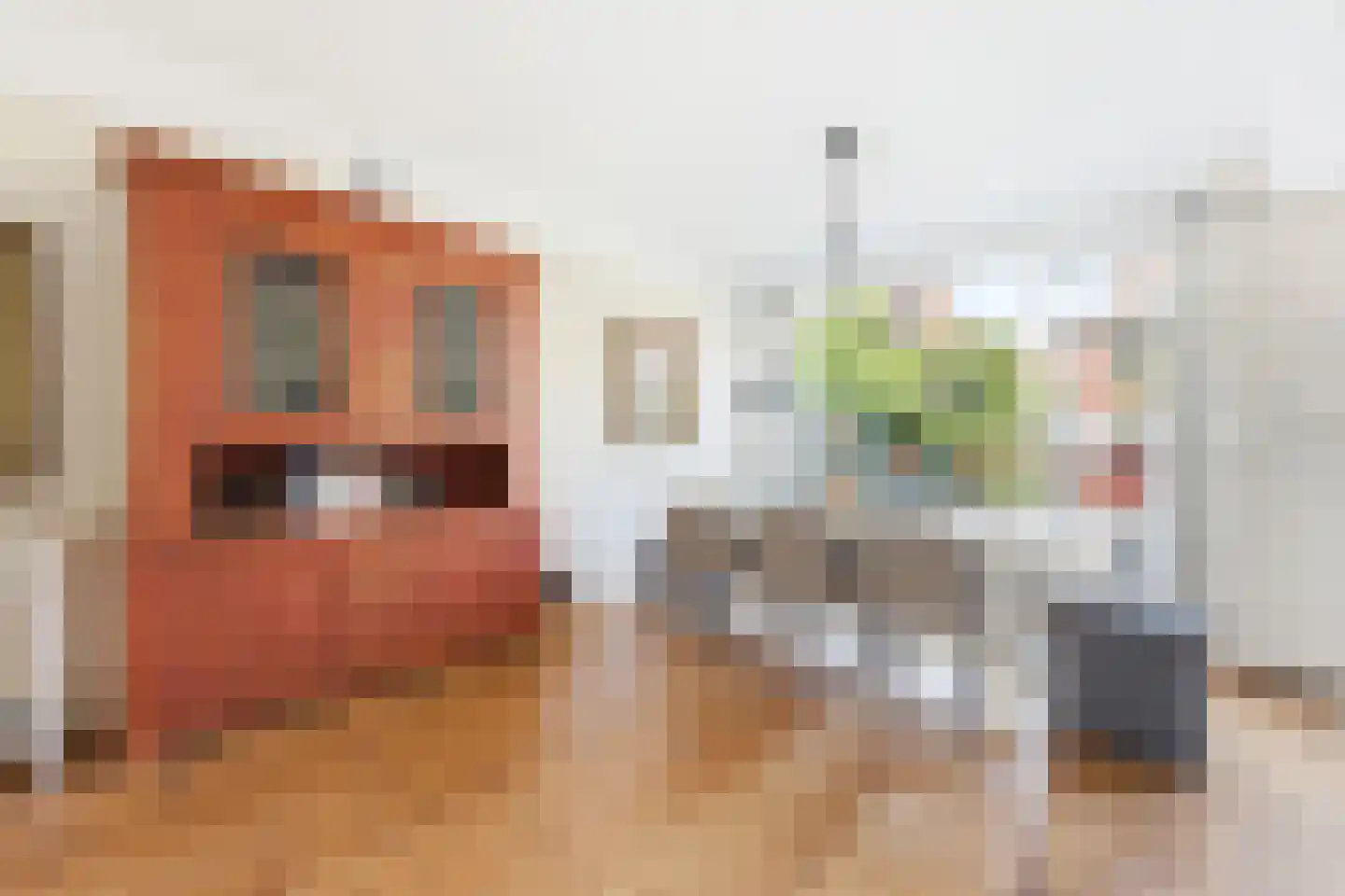 C.N.A.Looslaan 64 Rotterdam thumbnail 9
