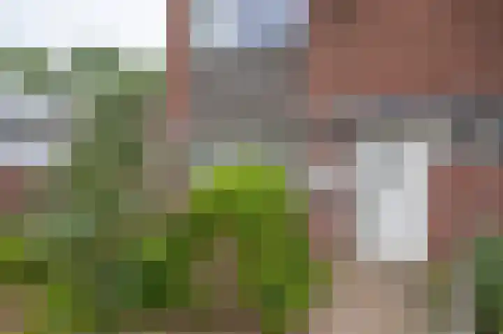 C. Ouwerkerkstraat 8 Emmen thumbnail 6