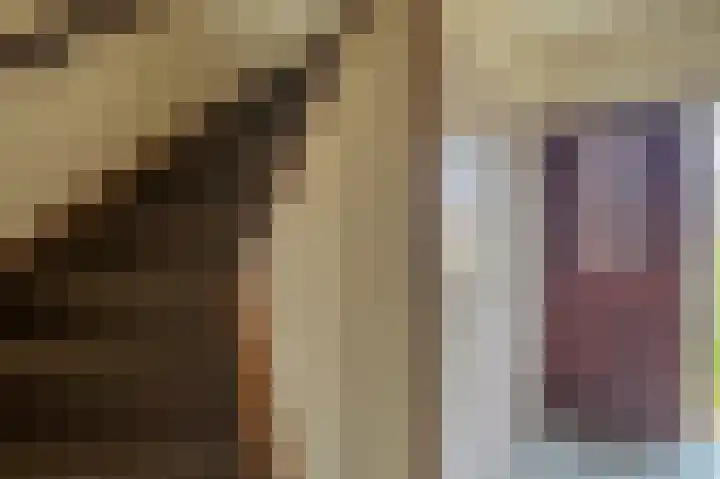 C. Ouwerkerkstraat 8 Emmen thumbnail 8