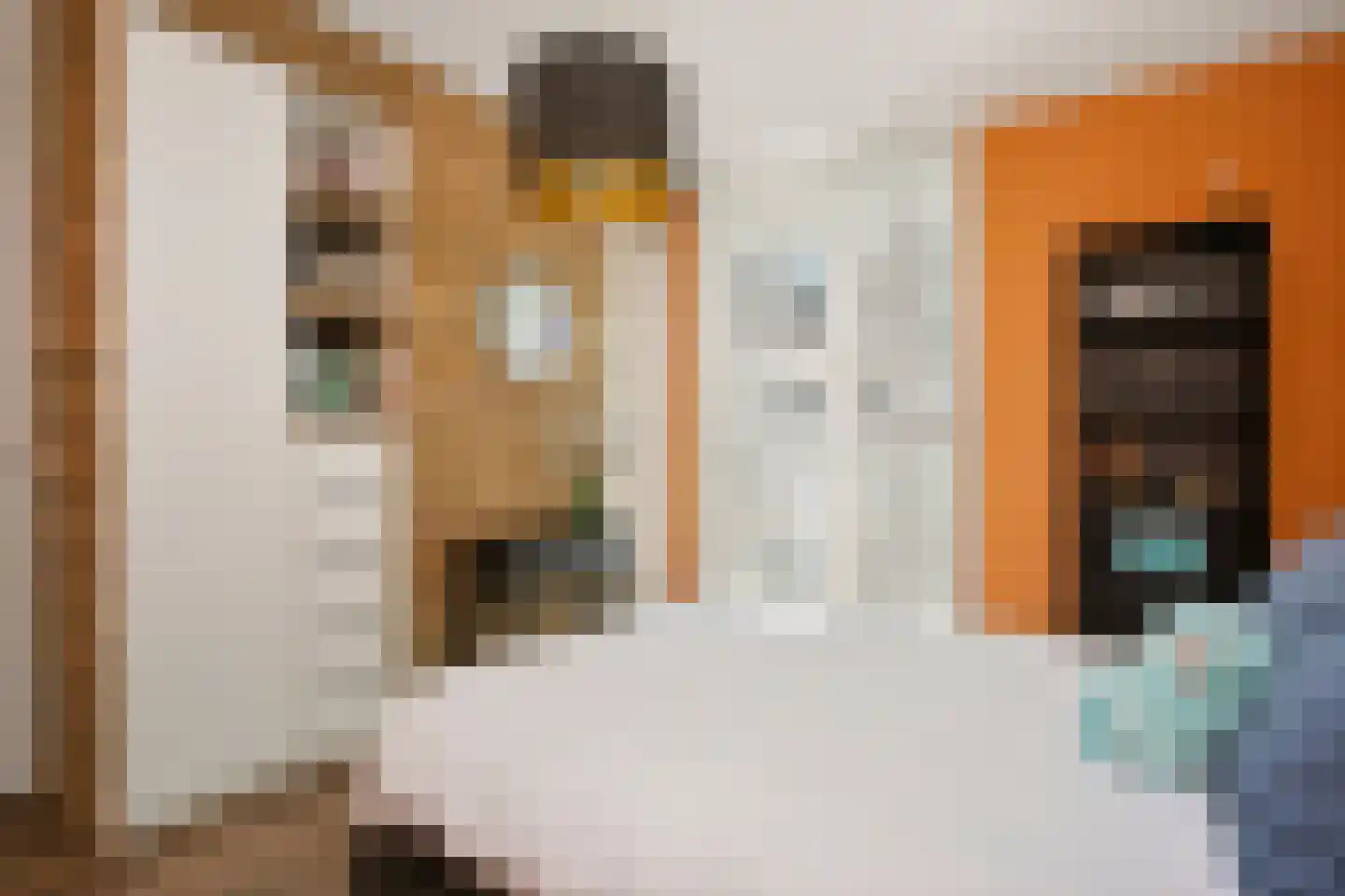 C.P. Klapstraat 11 Maarssen thumbnail 32