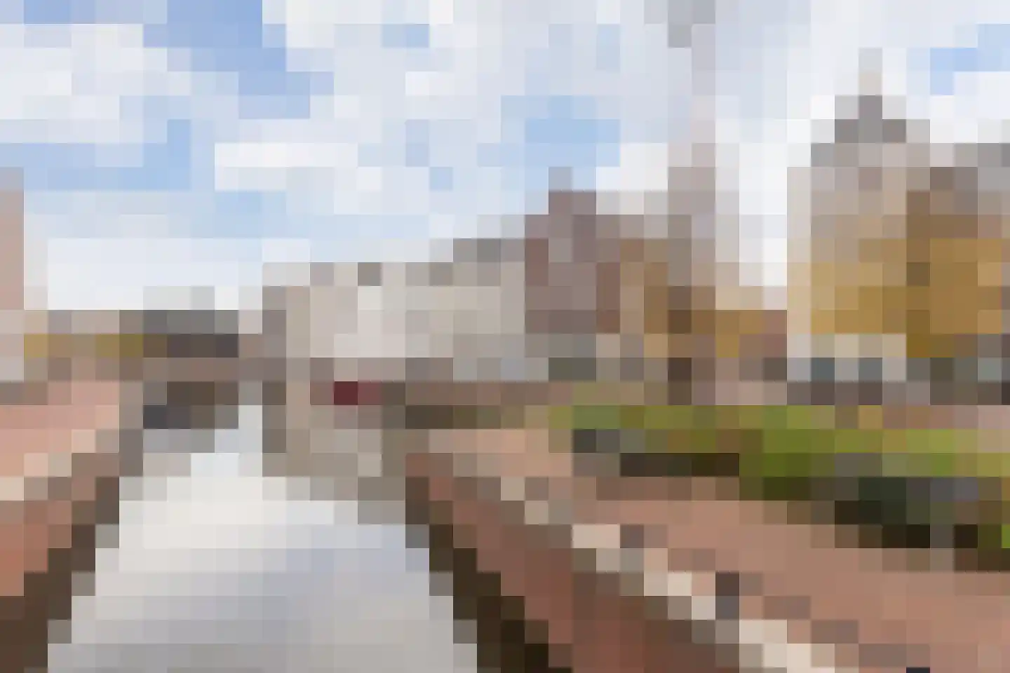 C.P. Klapstraat 11 Maarssen thumbnail 53