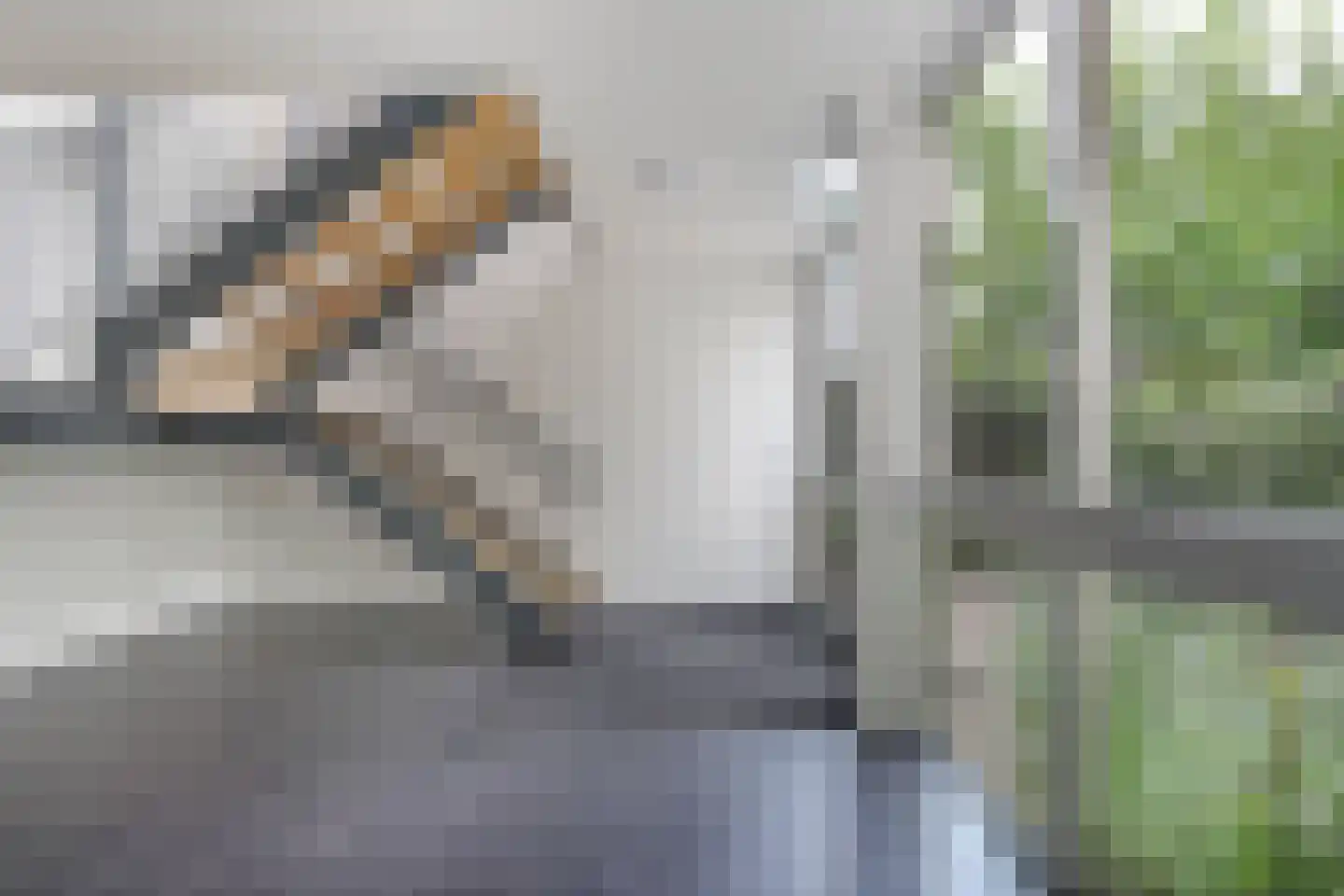 C.P. Klapstraat 30 Maarssen thumbnail 24